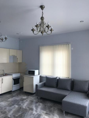 Apartment on Khutorskaya 25